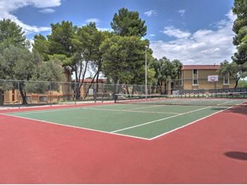 Basketball court